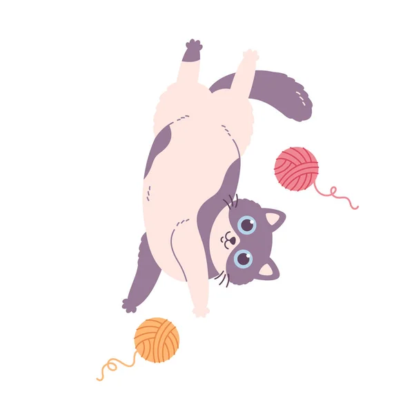 Lindo Gato Jugando Con Bolas Hilo Mascotas Domésticas Actividades Felinas — Vector de stock