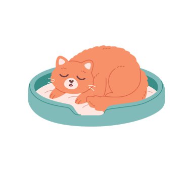 Kedi yatağında uyuyan sevimli kedi. Kedi hayatı, kedi malzemeleri, kedi aktiviteleri. Vektör illüstrasyonu