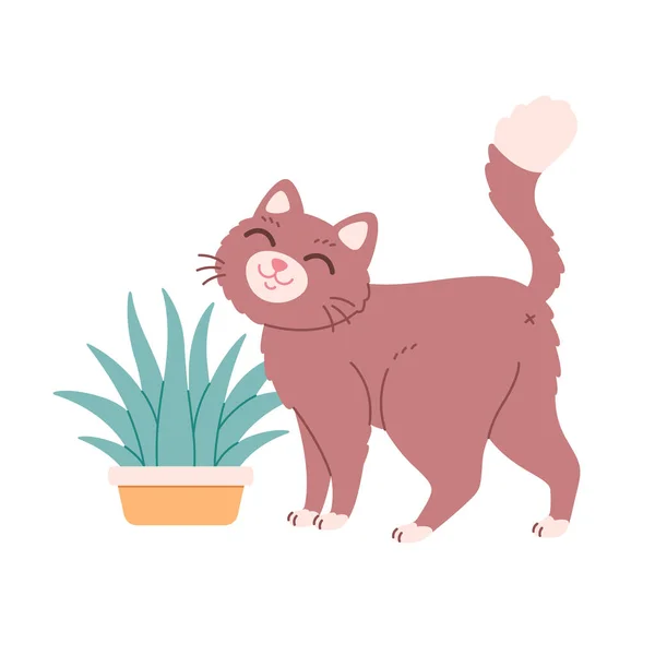 Tencerede Çimen Olan Sevimli Bir Kedi Kedi Otu Evcil Hayvanlar — Stok Vektör
