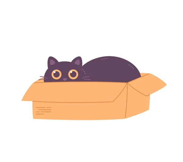 Lindo Gato Negro Caja Mascotas Domésticas Actividades Felinas Día Internacional — Archivo Imágenes Vectoriales
