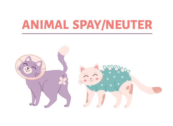 Esterilización Castración Animal Gato Collar Veterinario Esterilización Mascotas Día Mundial — Vector de stock