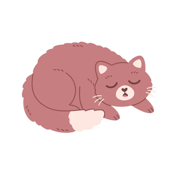 Słodki Kot Śpi Kocie Życie Domu Kocie Zajęcia Ilustracja Wektora — Wektor stockowy