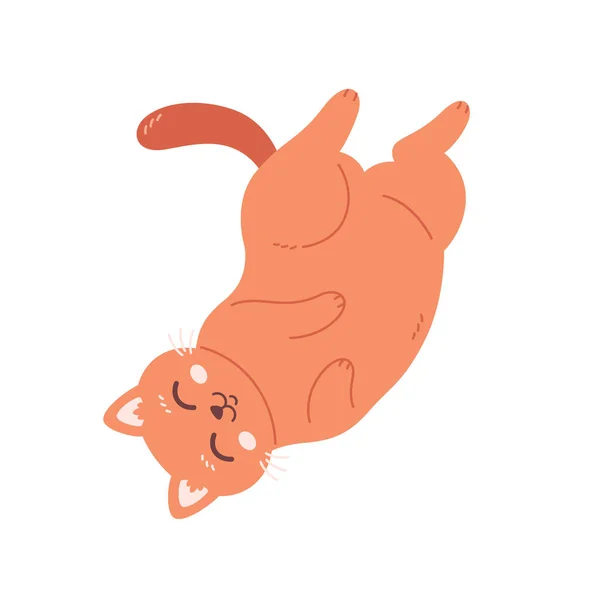 Bel Gatto Che Dorme Vita Gatto Domestico Attivita Feline Illustrazione — Vettoriale Stock