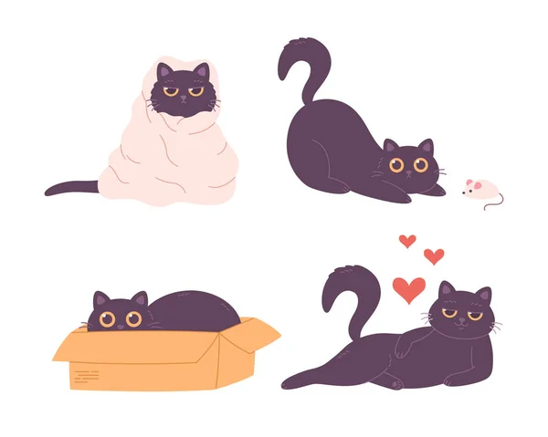 Μαύροι Χαρακτήρες Γάτας Παίζουν Κοιμούνται Κάθονται Στο Κουτί Ερωτεύονται Κατοικίδια — Διανυσματικό Αρχείο