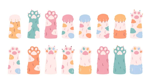 Lindo Colorido Gatos Patas Colección Diferentes Patas Divertidas Para Mascotas — Vector de stock