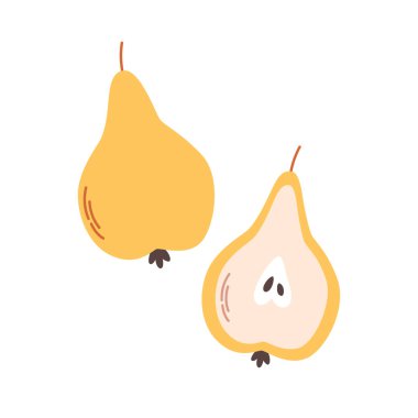 Yarım armutlu taze armut. Yaz meyvesi. Sağlıklı yiyecekler. Vektör illüstrasyonu