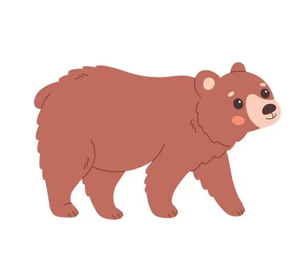Cute Wild Bear Woodland Animal Vector Illustration — Stock Vector