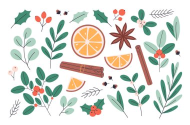 Kış meyveleri ve yaprakları. Holly, böğürtlen, okaliptüs, çam dalı, ökseotu, puantiye, tarçın, karanfil, baharat, portakal. Noel süsleri. Düz biçimli vektör illüstrasyonu