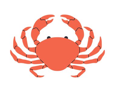 El çizimi yengeç çizimi. Deniz yemeği, deniz hayvanı. Balık pazarı, restoran malzemeleri. Taze kabuklu deniz ürünleri. Düz moda vektör illüstrasyonuName