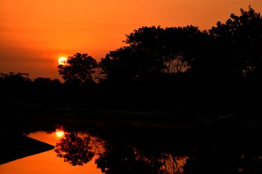 sunset wallpaper. dramatic golden light.