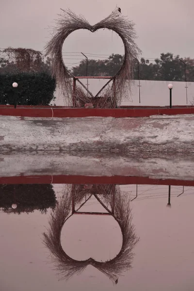 BIG heart shape grass and wood frame with water reflection