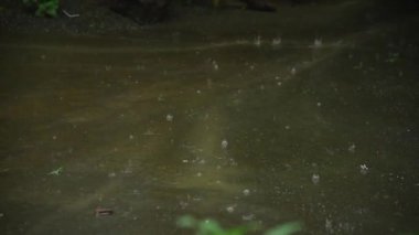 Rain water drop falling in soil land