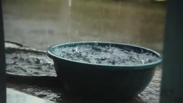 Хранение Дождевой Воды Пластиковом Барабане — стоковое видео