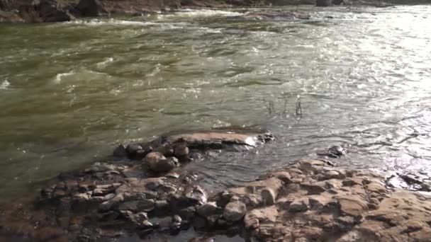 Гипнотизирующий Замедленный Поток Речной Воды — стоковое видео