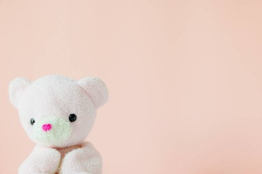 Pastel arka planda oyuncak ayı