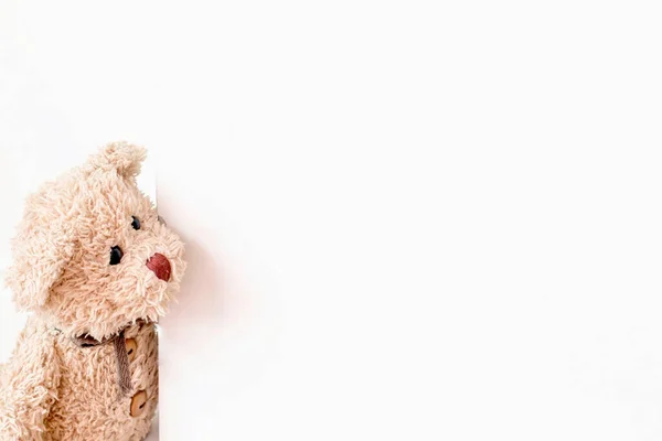 Oyuncak ayı saklambaç oynar, Sevimli bebek mutlu bir duyguyla şakacıdır.