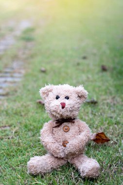 Adorable little teddy bear in the park on an autumn day, sitting on the grass