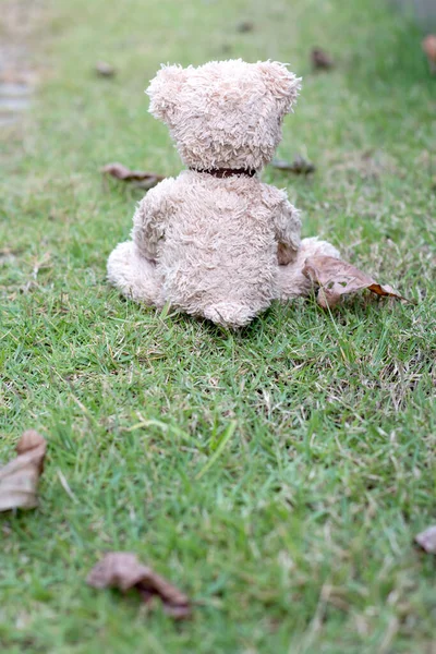 Adorable little teddy bear in the park on an autumn day, sitting on the grass
