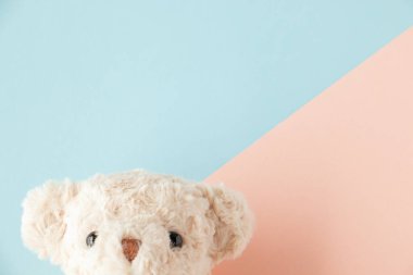 Cute teddy bear on pink and blue background 
