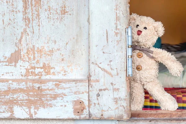 Teddy bear plays hide and seek, Cute doll is playful with a happy feeling.