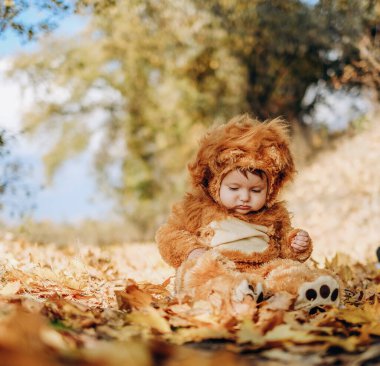 The kid sits in yellow leaves in the park for a walk. Family autumn walk in the evening in the park with children. Happy motherhood.