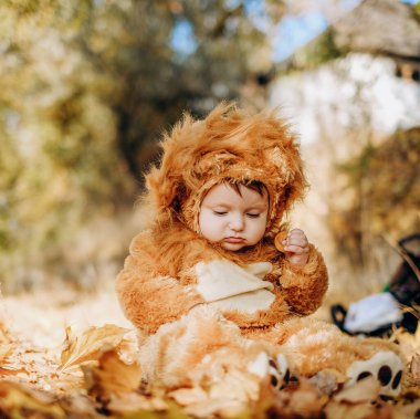 The kid sits in yellow leaves in the park for a walk. Family autumn walk in the evening in the park with children. Happy motherhood.