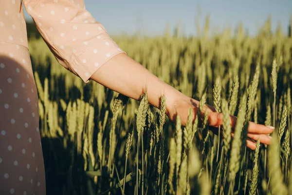 Пищевой Кризис Мировой Нехватки Зерна Новый Урожай Зерна Украине Женщина — стоковое фото