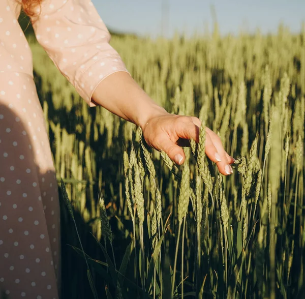 Пищевой Кризис Мировой Нехватки Зерна Новый Урожай Зерна Украине Женщина — стоковое фото