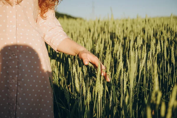 粮食危机 世界粮食短缺 乌克兰的新粮食作物 一个女人用她的手抚摸着麦穗 — 图库照片