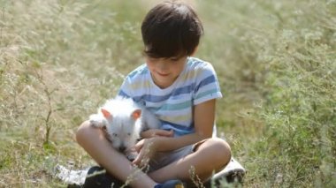 Köpeği olan bir çocuğun arkadaşlığı. Kollarında West Highland White Terrier köpeği tutan mutlu çocuk. Çocuk yazın köpek yavrusuyla parkta yürür. Çocuğun doğadaki en sevdiği köpek..