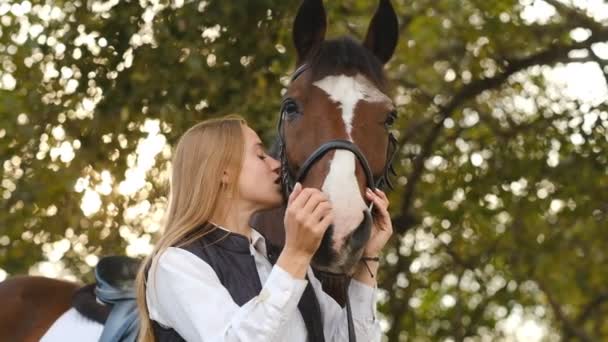 Young Woman Rider Prepares Horse Competition Communication Your Horse Show — Stock Video