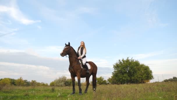 Een Jonge Vrouwelijke Ruiter Bereidt Een Paard Voor Een Wedstrijd — Stockvideo