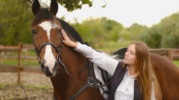 Μια Νεαρή Γυναίκα Ιππέας Ετοιμάζει Ένα Άλογο Για Ένα Διαγωνισμό — Αρχείο Βίντεο