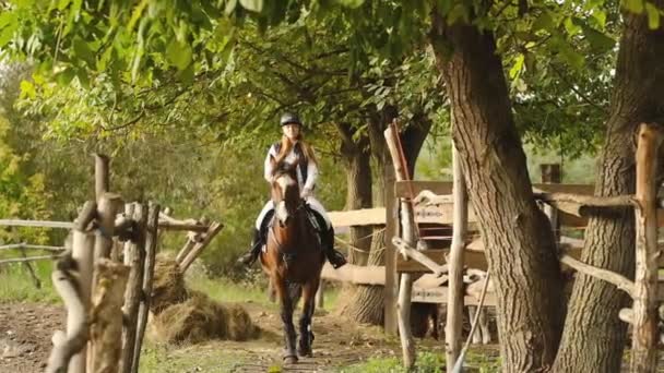 Een Vrouwelijke Jockey Brengt Haar Paard Training Naar Stal Bereid — Stockvideo