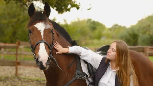 一位年轻的女骑手准备了一匹马参加比赛 和你的马交流跳马术的女子训练 — 图库视频影像