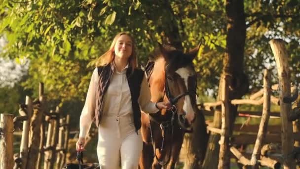 Een Vrouwelijke Jockey Brengt Haar Paard Training Naar Stal Bereid — Stockvideo
