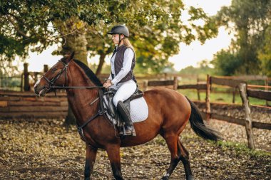 Genç ve güzel bir kadın jokey bir gösteri atlama yarışmasına hazırlanıyor. Bir kadın binici kahverengi bir yarış atı sürüyor. Kadın jokey ata biniyor.