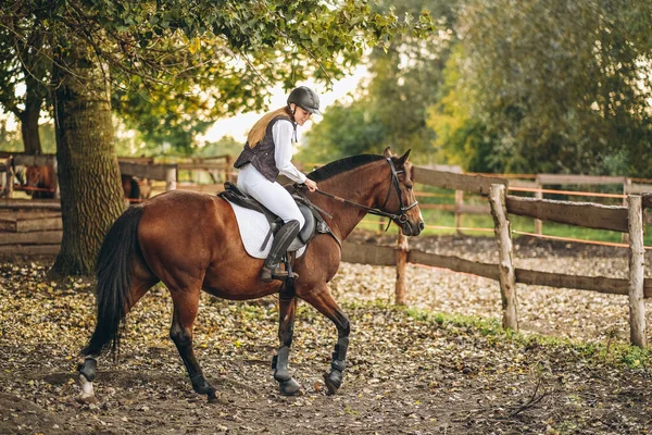 A young beautiful woman jockey is preparing for a show jumping competition. A woman rider rides a brown racehorse. Woman jockey rides a horse.