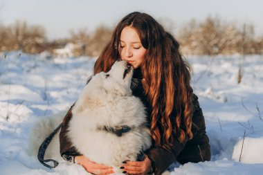 Favori Samoyed hayvanınla kış yürüyüşü. Köpekleri severim. Noel beklentisiyle köpeği gezdiriyorum..