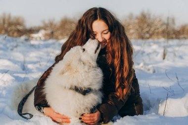 Favori Samoyed hayvanınla kış yürüyüşü. Köpekleri severim. Noel beklentisiyle köpeği gezdiriyorum..