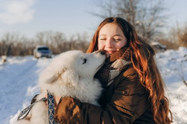 Favori Samoyed hayvanınla kış yürüyüşü. Köpekleri severim. Noel beklentisiyle köpeği gezdiriyorum..