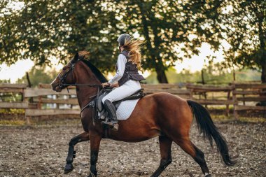 Genç ve güzel bir kadın jokey bir gösteri atlama yarışmasına hazırlanıyor. Bir kadın binici kahverengi bir yarış atı sürüyor. Kadın jokey ata biniyor.