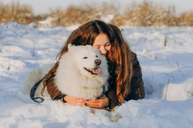 Favori Samoyed hayvanınla kış yürüyüşü. Köpekleri severim. Noel beklentisiyle köpeği gezdiriyorum..