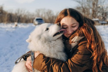 Favori Samoyed hayvanınla kış yürüyüşü. Köpekleri severim. Noel beklentisiyle köpeği gezdiriyorum..