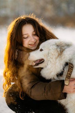 Favori Samoyed hayvanınla kış yürüyüşü. Köpekleri severim. Noel beklentisiyle köpeği gezdiriyorum..