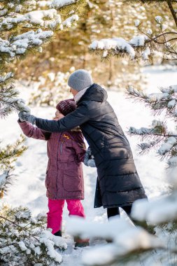 Anne ve kızı kış ormanında yürüyorlar. Ailesiyle ormanda kış gezisi. Ormanda aktif kış tatili.