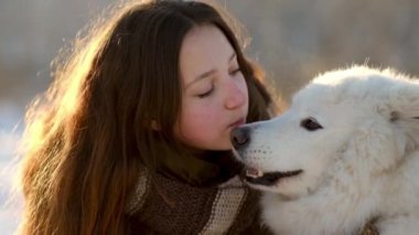 Favori Samoyed hayvanınla kış yürüyüşü. Köpekleri severim. Noel beklentisiyle köpeği gezdiriyorum..