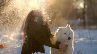 Favori Samoyed hayvanınla kış yürüyüşü. Köpekleri severim. Noel beklentisiyle köpeği gezdiriyorum..