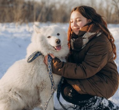 Favori Samoyed hayvanınla kış yürüyüşü. Köpekleri severim. Noel beklentisiyle köpeği gezdiriyorum..