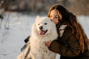 Favori Samoyed hayvanınla kış yürüyüşü. Köpekleri severim. Noel beklentisiyle köpeği gezdiriyorum..